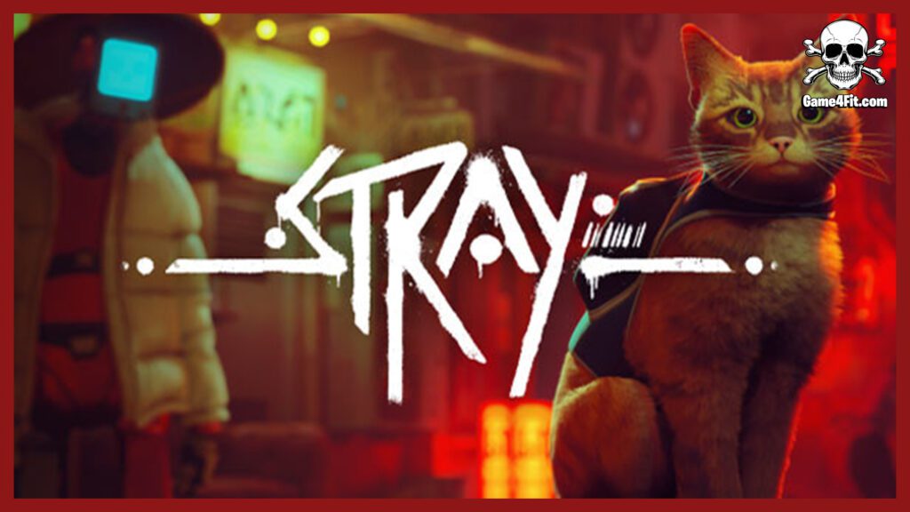 Stray