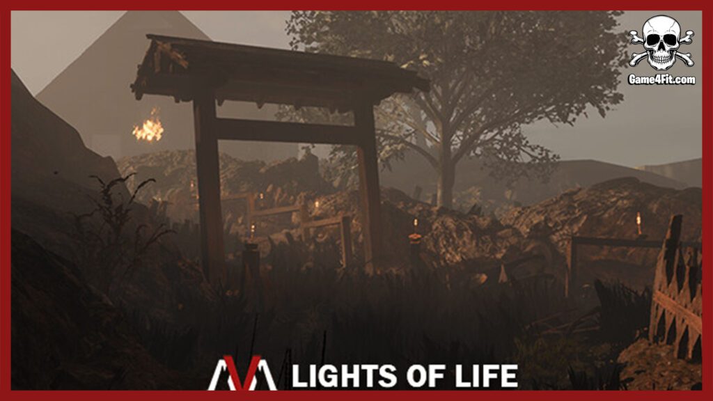 Lights Of Life